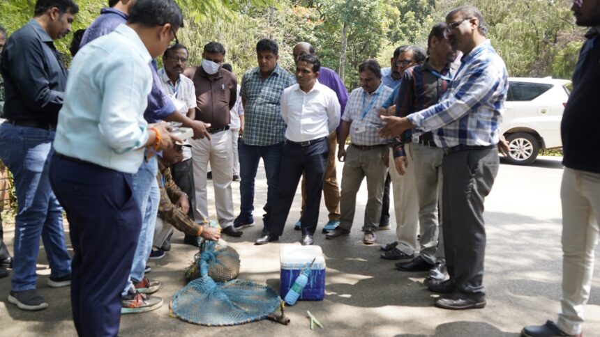 ಬೀದಿ ನಾಯಿಗಳಿಗೆ ಪ್ರಾಯೋಗಿಕ ಮೈಕ್ರೋ ಚಿಪ್ ಅಳವಡಿಕೆ: ಸುರಳ್ಕರ್ ವಿಕಾಸ್ ಕಿಶೋರ್