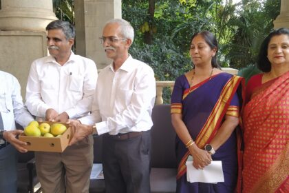ಅಂಚಿ ಮೂಲಕ ಗ್ರಾಹಕರಿಗೆ ಮಾವಿನ ಹಣ್ಣು ಪಾರ್ಸಲ್ಗೆ ಚಾಲನೆ
