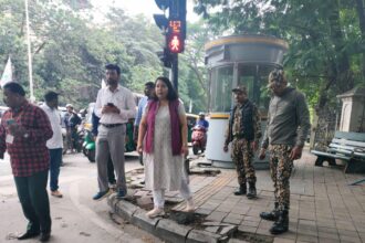 ಮುರಿದು ಬಿದ್ದ ವಿದ್ಯುತ್ ಕಂಬಗಳು ಹಾಗೂ ಹಾನಿಗೊಳಗಾದ ಸೈನ್ ಬೋರ್ಡ್ ಗಳನ್ನು ತೆರವುಗೊಳಿಸಿ: ಸ್ನೇಹಲ್ ಆರ್